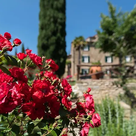 Borgo Valecchie *